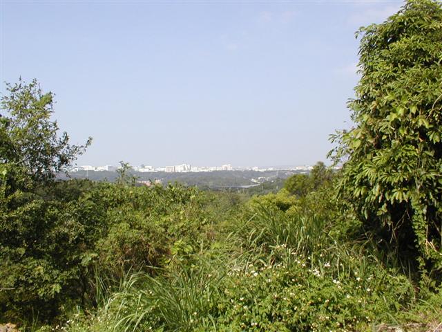 The Science Park in the distance